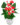 Anthurium