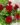 IMG-20220706-WA0020~2