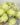 IMG-20220706-WA0021~2