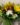 IMG-20220706-WA0025~2